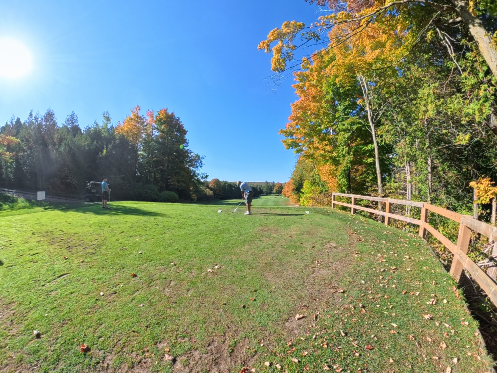 A golfer addressing the ball on a tree-lined tee box.